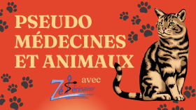 Pseudo-médecines et animaux : interview Zétérinaires by Sohan TRICOIRE